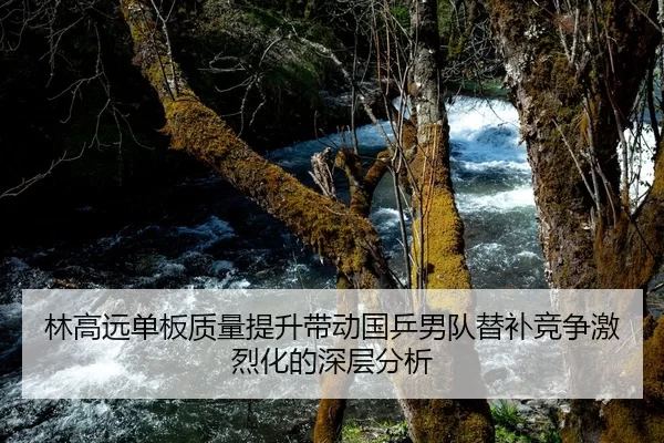 林高远单板质量提升带动国乒男队替补竞争激烈化的深层分析