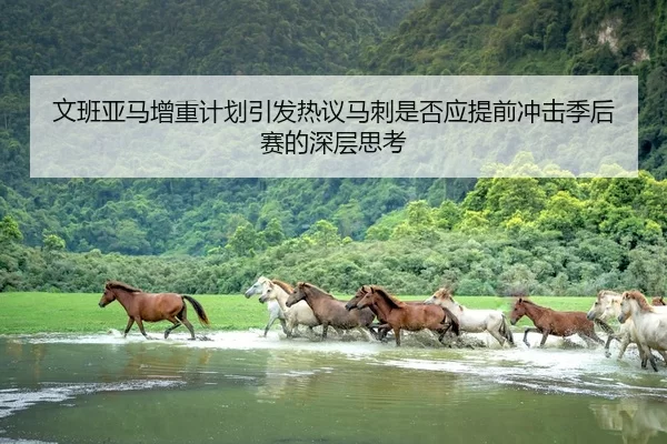 文班亚马增重计划引发热议马刺是否应提前冲击季后赛的深层思考