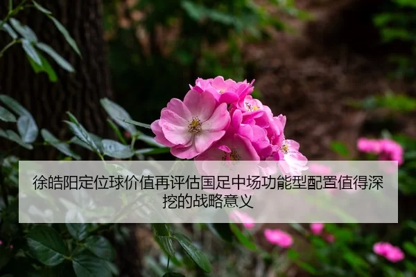 徐皓阳定位球价值再评估国足中场功能型配置值得深挖的战略意义