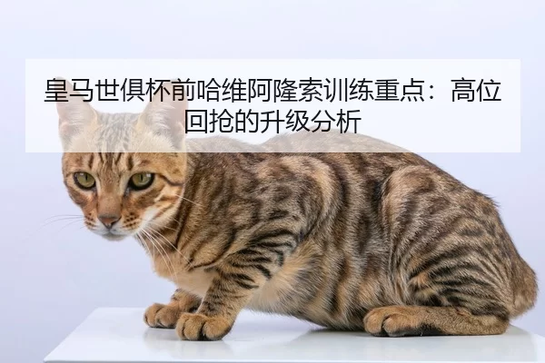 皇马世俱杯前哈维阿隆索训练重点：高位回抢的升级分析