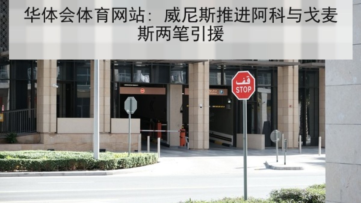 华体会体育网站: 威尼斯推进阿科与戈麦斯两笔引援