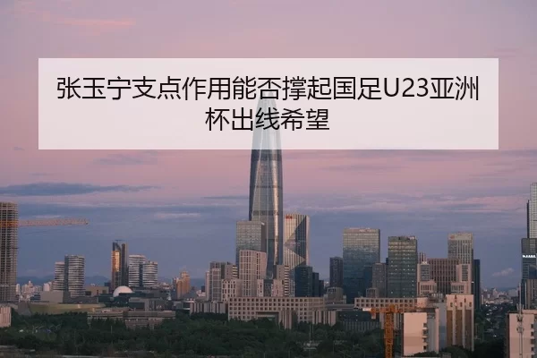 zhang-yu-ning-zhi-dian-zuo-yong-neng-fou-cheng-qi-guo-zu-ya-zhou-bei-chu-xian-xi-wang-3-892.jpg