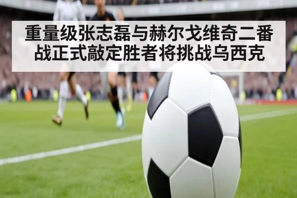 重量级张志磊与赫尔戈维奇二番战正式敲定胜者将挑战乌西克